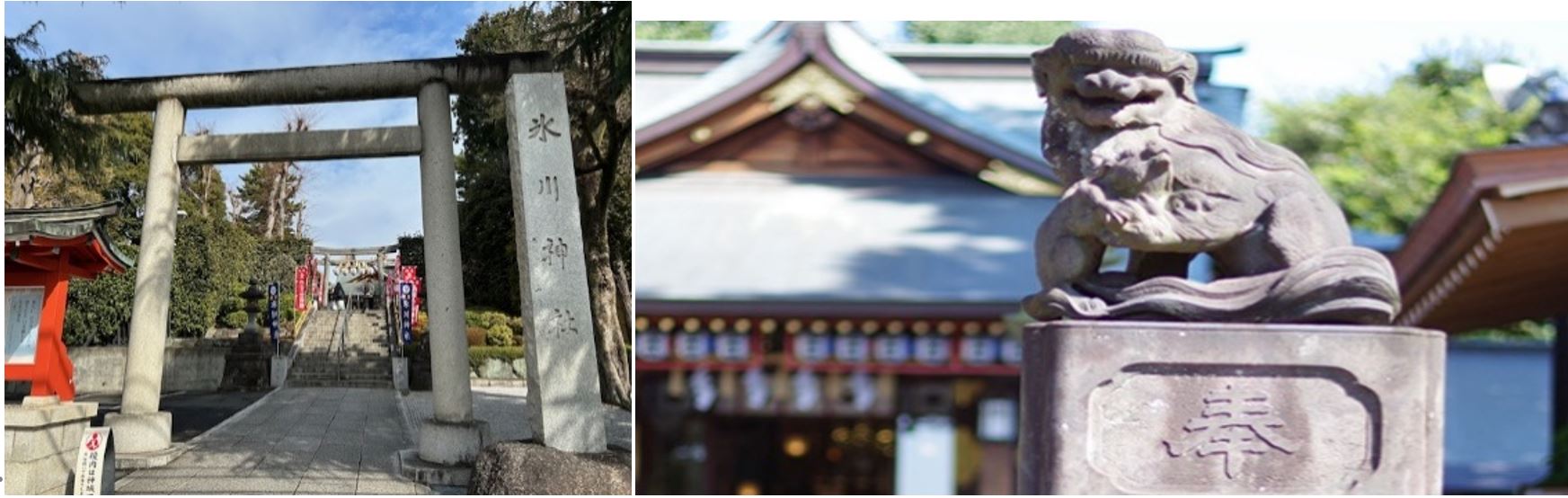 新井薬師梅照院