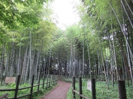 すずめのお宿
