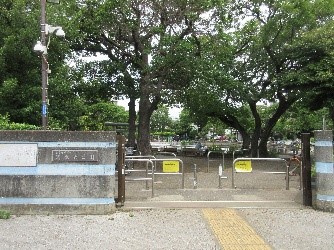 清水池公園-2